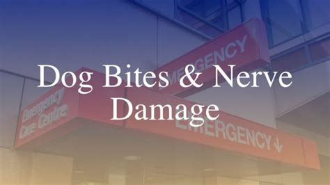 Personal Injury Claims For Dog Bite Nerve Damage