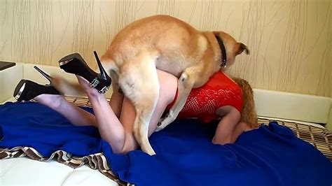 Omg Real Hot Zoophilia Blonde Gets Fucked By Dog And