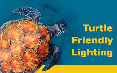 Turtle Friendly Elcast Lighting