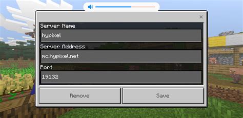 What Is Hypixel Server Address 2021 Draw Spoon