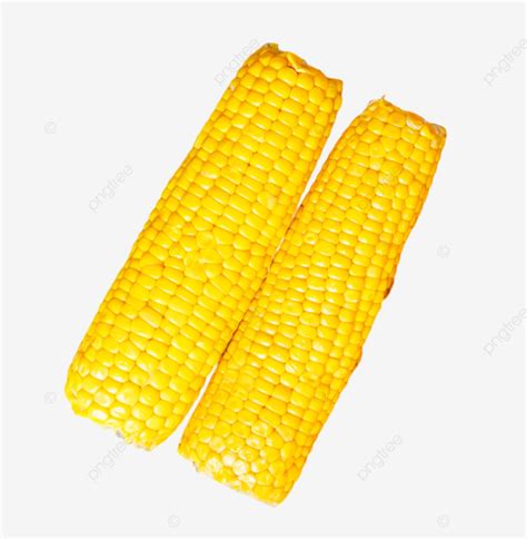 Corn Food Grain Corn Food Yellow PNG Transparent Image And Clipart