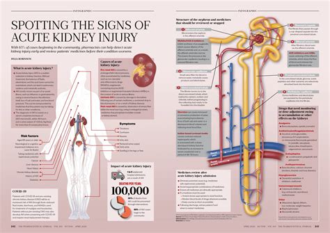 Spotting The Signs Of Acute Kidney Injury The Pharmaceutical Journal
