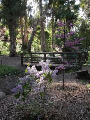 Redlands california california dreamin' big sur prospect park redlands orange county university of redlands park slope brooklyn san diego san bernardino county. Prospect Park, Redlands. Romantic walks, lovely views ...