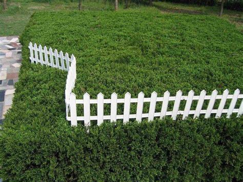 20 Picket Fence Garden Border Ideas You Should Check Sharonsable