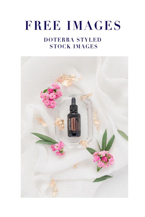 Here you can learn more about the differences between the kinds of oils you choose to use, what they can be. Pin on Doterra Essential Oils Stock Images