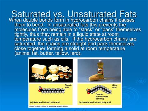 Difference Between Saturated And Unsaturated Fats My Xxx Hot Girl