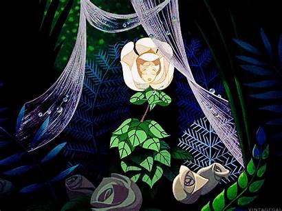 Alice Wonderland Disney 1951 Flower