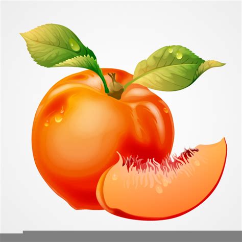 Free Clipart Of Georgia Peach Free Images At Vector Clip