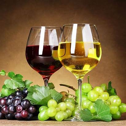 Wine Vino Ipad Glasses Alcohol Drink Vinho