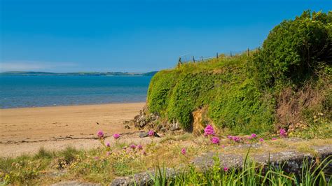 Duncannon Holiday Accommodation Holiday Houses And More Stayz