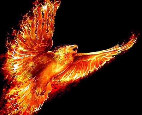 Check spelling or type a new query. The Legend of the Phoenix | Anime Amino