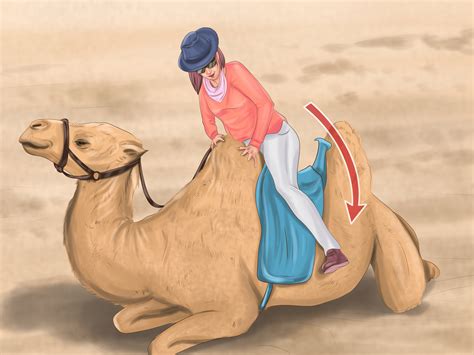 [eric tonjes is shut up & sit down's miniatures gaming correspondent. How to Ride a Camel: 12 Steps (with Pictures) - wikiHow
