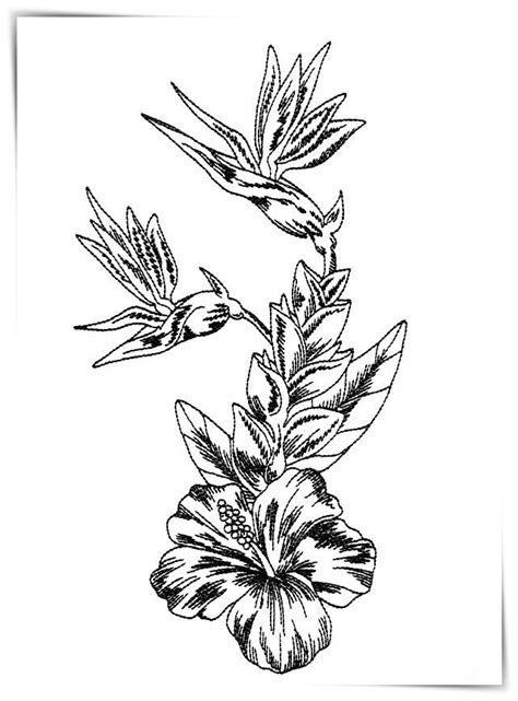 Pin de Marco Narciso en Dibujos de flores en 2021 | Flores para dibujar