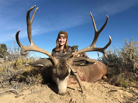 Trophy Mule Deer In New Mexicos Top Units