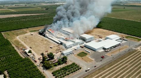 Fire At Poultry Farm Kills Nearly 300000 Chickens In Stanislaus County