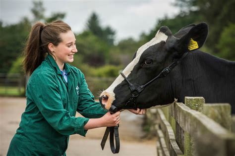 Scotland Set For First New Vet School In 150 Years Sruc
