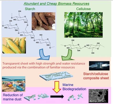 Nine Different Biodegradable Plastic Solutions Made From Nature