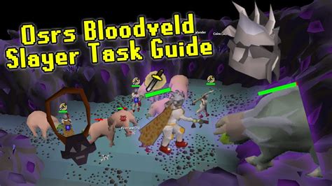 Nechryael are demonic slayer creatures, which require a slayer level of 80 in order to harm. OSRS Bloodveld Slayer Guide Using the Catacombs of Kourend - Slayer Made Easy - YouTube