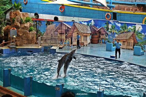 Animal Education Show di Taman Safari Prigen - Food, Travel and