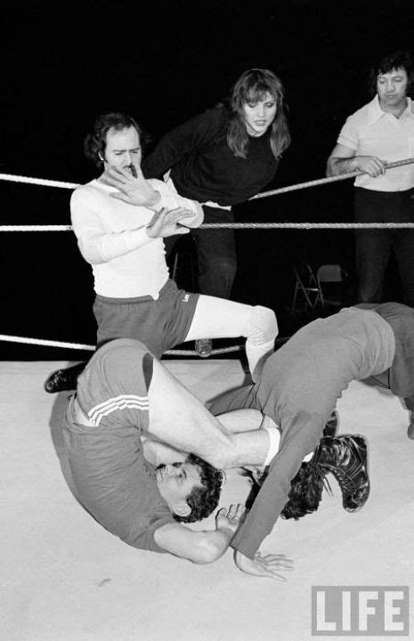 Scientists have unearthed the fossilised remains of a giant species of camel in canada's high arctic. When Debbie Harry wrestled Andy Kaufman, 1983 | Dangerous ...