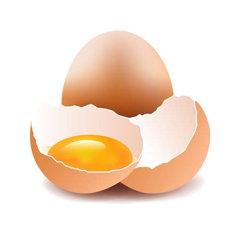 Premium Vector Eggs Isolated