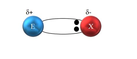 Enlace Covalente Polar Características Y Ejemplos