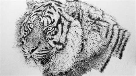 How To Draw Realistic Animal Fur Explained By Autistic Artist Youtube