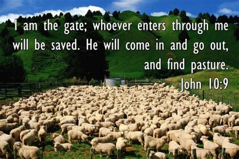 John 1026 Does Jesus Choose Who Will Be His Sheep