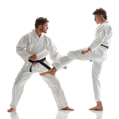 Karate Moves A Guide To The Basic Blocks Strikes And Kicks