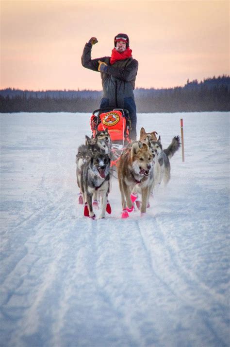 From Sled Puppies To Sled Dogs In Two Photos