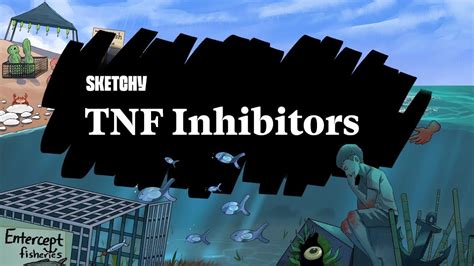 Tnf Inhibitors Mechanisms Uses And Side Effects Part 1