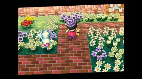 Do you like this video? Meine Stadt in Animal Crossing New Leaf - YouTube