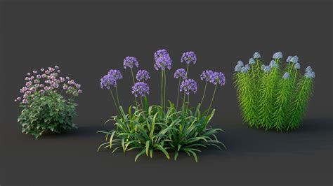 Xfrogplants Garden Flowers Pack 1 3d Model Animated Cgtrader