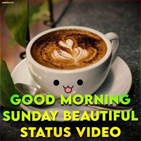 Top 999 Good Morning Sunday Hd Images Amazing Collection Good