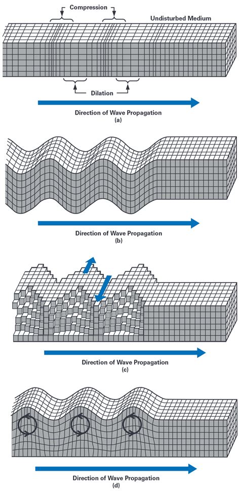 Understanding The Fundamentals Of Earthquake Signal Sensing Networks