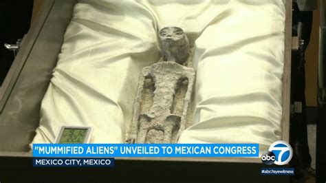 Scientists Unveil Pair Of Mummified Alien Corpses To Mexican Congress