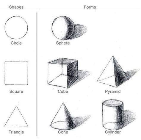 Basic Drawing Shapes For Beginners Cured Journal Gallery Of Photos