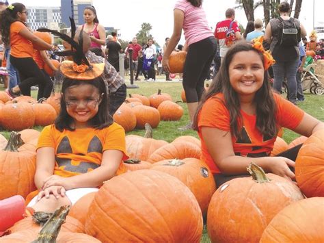 Then visit our calendar for other ways to celebrate fall and halloween. Pumpkin Patches Throughout San Diego County