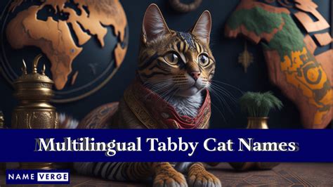 Tabby Cat Names 365 Sweet Names For Your Patterned Cat