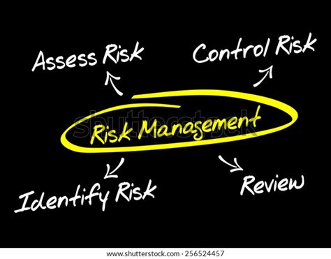 Risk Management Process Diagram Chart Business Stock Vector Royalty