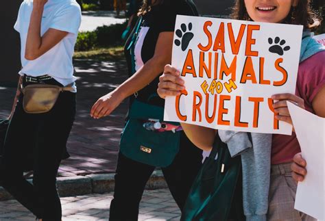La Crueldad Animal Es Un Delito Federal Trámites Usa
