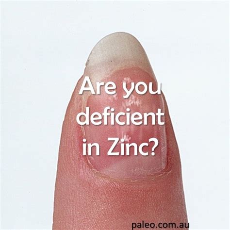12 Signs You May Be Deficient In Zinc The Paleo Network