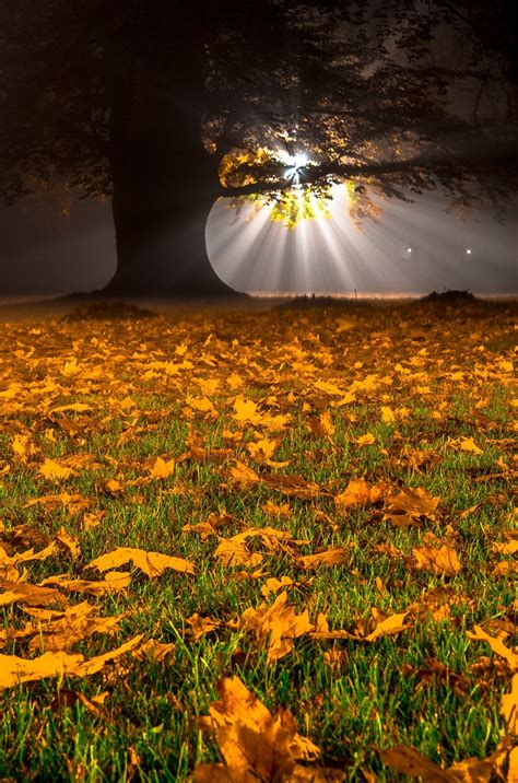 Night Autumn By Wojciech Cichalewski Nature Photography Beautiful