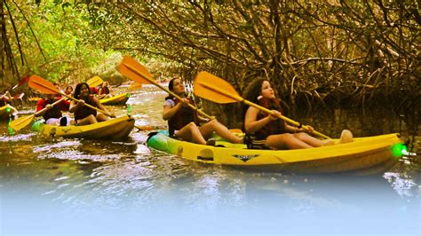 Bio Bay Kayak Tour Kayaking Puerto Rico 2023
