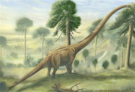 Magazine Dos Dinossauros Mamenchisaurus