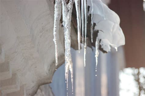 Water Drops On The Roof Icicles Melt Under Influence Of Warm Air And