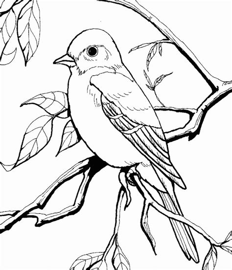 Mockingbird Coloring Pages - Best Coloring Pages For Kids