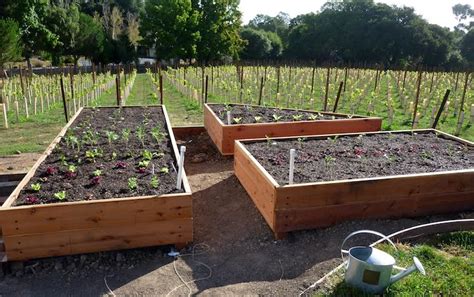 Check spelling or type a new query. Above Ground Garden Box Ideas Photograph | How To Build A Ga