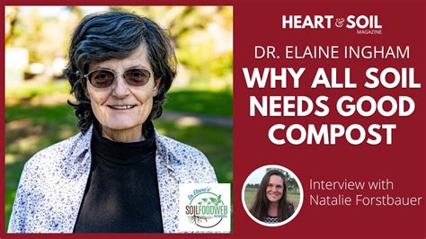 Why All Soil Needs Good Compost Dr Elaine Ingham Soil Food Web