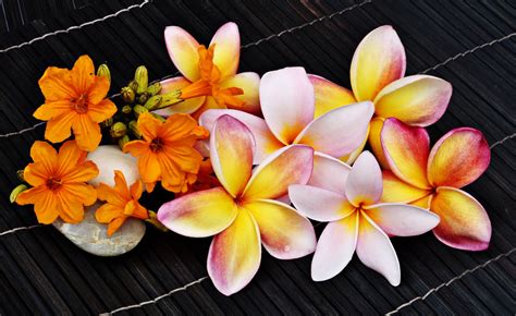 This exotic array uses our abundant supply of tropical flowers growing right here in hana, maui to which we add lush greenery to create the perfect mix for a beautiful flower arrangement. tropical flower